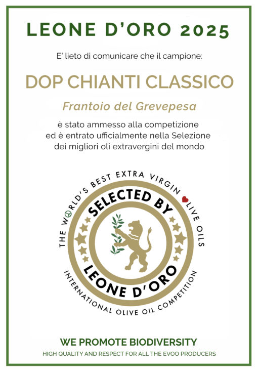 Chianti Classico EVOO DOP 500ML. Raccolto 2024 - immagine 5