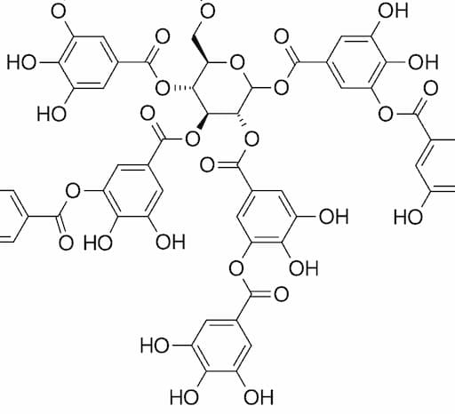 De er stoffer av naturlig opprinnelse og i ekstra virgin olivenolje som er ansvarlige for astringens, lukt, smak og oksidativ stabilitet.